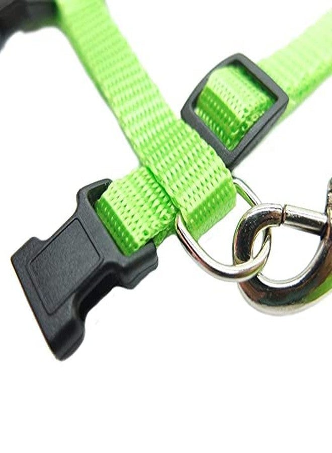 Pups&Pets طقم مقود نايلون من Pups&Pets مع حزام كامل للجسم للقطط، قابل للتعديل ومتين، مناسب للمشي مع الحيوانات الأليفة الصغيرة - أخضر - Image 5